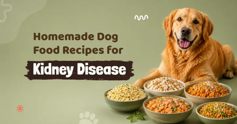 A Golden Retriever sitting behind five bowls of colorful homemade dog food.