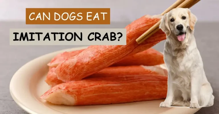 can dogs eat imitation crab